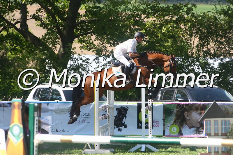 308M2588_Lichtstern_Springpf L.JPG